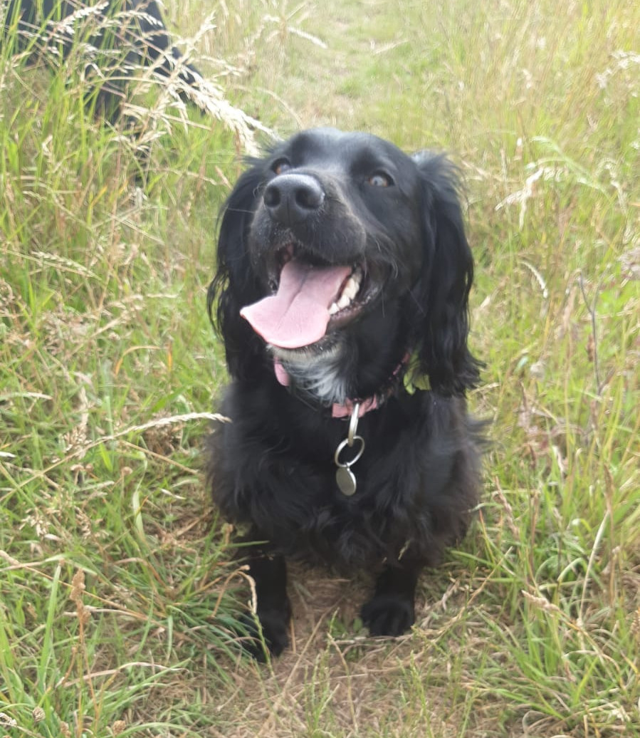 Tilly