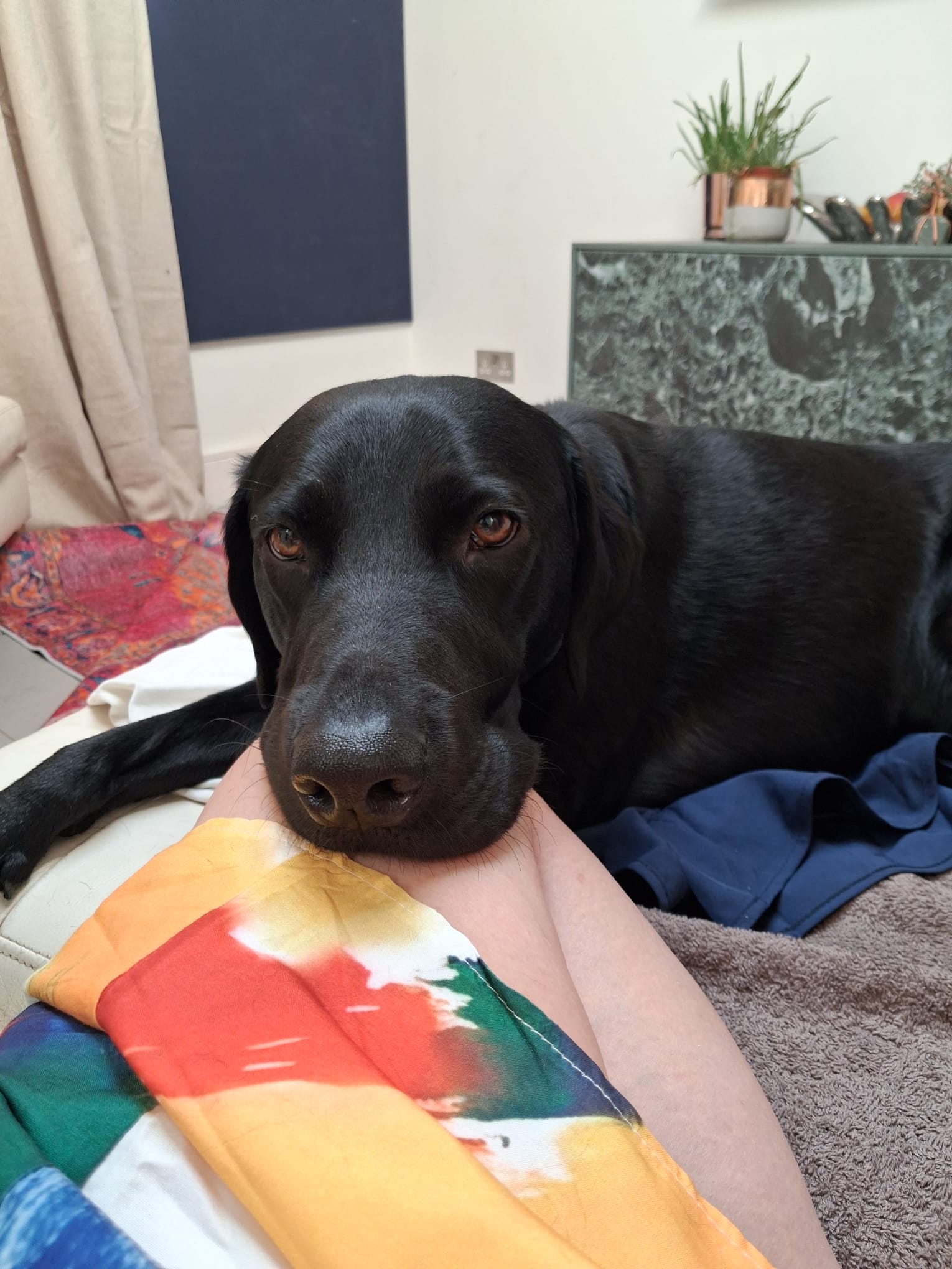 Monty